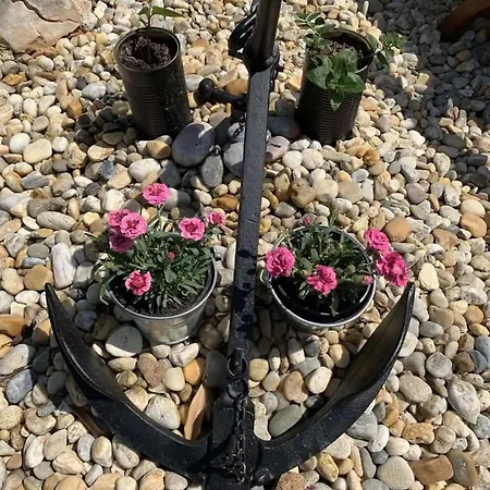 Ellani Punat